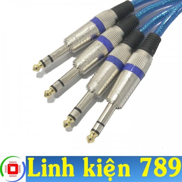 Dây jack 6 ly ra 6 ly loại STE dài 75cm (2 dây)